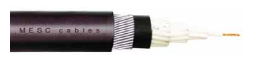 Control Multi Core Armoured Cable CU/XLPE/SWA/PVC – Black Numbered Cores – BS 5467
